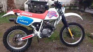 Honda Xr 250 colección 1992