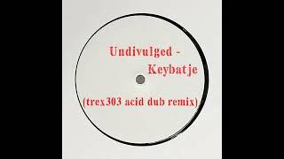 Undivulged - Keybatje (trex303 Acid Dub Remix)