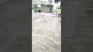 Mr.Freddy| labrador #funnyvideo #doglove #chottu #labrador #dogforlife #petcare  #tamilcinema
