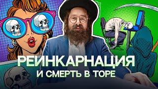 РЕИНКАРНАЦИЯ и переселение душ в Торе. Типичное воплощение. Виды реинкарнаций. Рав Элияу Гладштейн