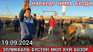 19 сентября 2024 ЭЛЛИККАЛА БУСТОН МОЛ КУЙ БОЗОР НАРХИ