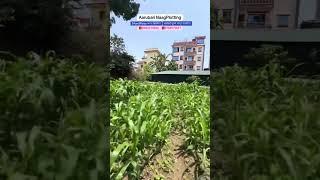 #ayusharealestate#realestate#nepalrealestate#jugga#ghr#property#ktm