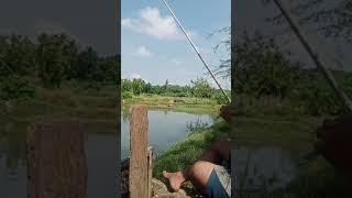 fishing in the farm with my friend