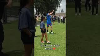 Pollo Briseño
