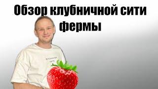 ЛУЧШАЯ КЛУБНИЧНАЯ ФЕРМА В МИРЕ