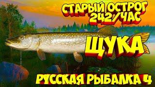 русская рыбалка 4 - Щука озеро Старый Острог - рр4 фарм Алексей Майоров