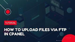 How to upload files via FTP in cPanel | Hosting Tutorial