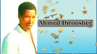 Ahmed ibrooshee