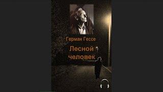 Герман Гессе - Лесной человек