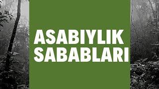 Asabiylik holati sabablari (psixosomatika)