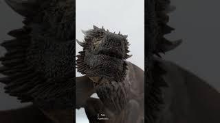 Insane Photorealistic Skyrim 16k Game of Thrones Dragons (Skyrim Ultra modded #shorts version)