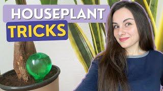 Houseplant TRICKS