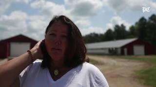 Manchester Farms Quail near Columbia raises quail for 40 years