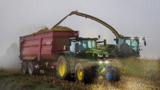 ProBody760 zur Maisernte im Weserbergland