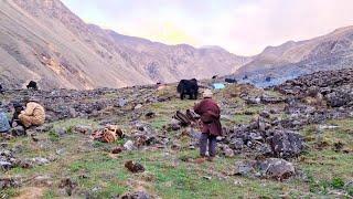 Wonders of Himalayas village life documentary | Explore New Lands