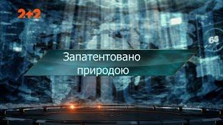 Запатентовано природой - Затерянный мир. 113 выпуск