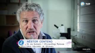 Científicos Industria Argentina - Entomología Forense