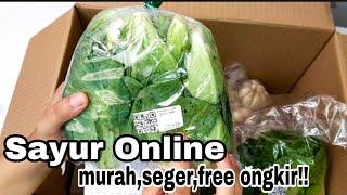 Belanja Sayur Online Murah