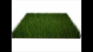 Realistic Grass (Under 2 minutes) || 3DS Max || Softorials