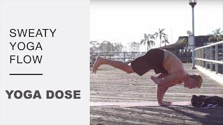 Sweaty Yoga Flow (Jacob Manning) | Yoga Dose