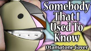 Somebody That I Used To Know - Otamatone Cover