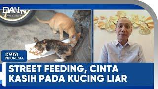 Kasih Sayang untuk Kucing Liar. | Halo Indonesia