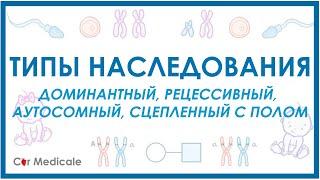 Типы наследования: доминантный, рецессивный, аутосомный, сцепленный с полом