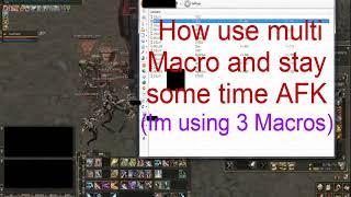 Lineage II (HELIOS) How use Multi-Macro