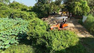 Start New Project Filling Up The Big Pond By Mini Bulldozer And Dump Trucks Operated Delivery