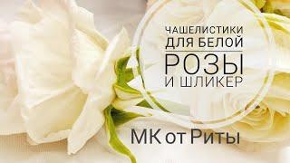 Чашелистики двухцветные для розы.МК от Риты. Sepals two-color for a rose tutorial by Rita.