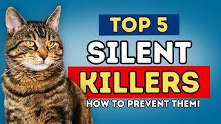 Top 5 Silent Cat Killers in 2025 – (And How to Prevent Them!)