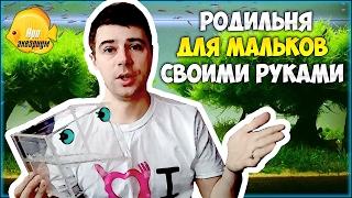 ОТСАДНИК ДЛЯ МАЛЬКОВ своими руками, нерестовик для живородящих, родильня для мальков | САМОДЕЛКИ