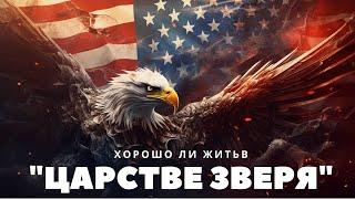 Хорошо ли жить в "Царстве зверя"? Александр Болотников