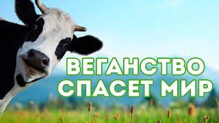 Вегетарианство веганы и сыроеды спасают мир! Лекция