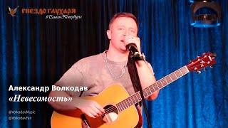 "Невесомость" Александр Волкодав "Гнездо глухаря" Санкт-Петербург 10.02.24 #питер #голос #концерт