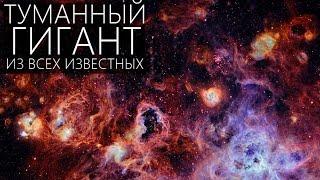 САМАЯ БОЛЬШАЯ ТУМАННОСТЬ ВО ВСЕЛЕННОЙ [NGC 2070 - Туманность Тарантул]