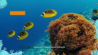 Introductory videos to Marine Protected Areas (MPAs) in the Maldives