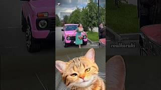 What happen next  #cat #meme #dance #trending