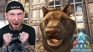 ARK: Survival Ascended  Livestream #37 | Let's Play ARK gameplay german/deutsch