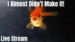 [LIVE]  I Almost Didn't Make it To The ACA + Fish Q&A!