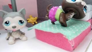 LPS life #2 cz|Viky the LPS| - Viky se stěhuje