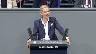 Heftiger Polit-Zoff im Bundestag!  Weidel zerlegt Grüne im Schlagabtausch | AfD vs. Grüne