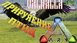 Приручение Птиц Argenavis в ARK Survival Evolved Valhalla MOD