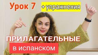 Испанский с нуля - урок 7: прилагательные в испанском