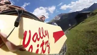 Wally Blitz