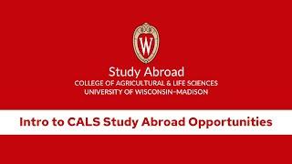 Intro to CALS Study Abroad Opportunities