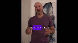 איך להפריד קרב כלבים