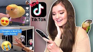 Reacting to Viral Bird Tiktoks!!