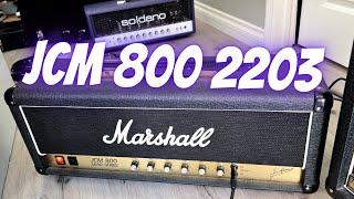 Marshall JCM 800 2203 Test w/ Mr Scary Mod