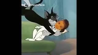 most funny video